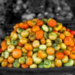 Solanum lycopersicum.